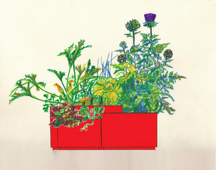 Carré potager multibacs Soja